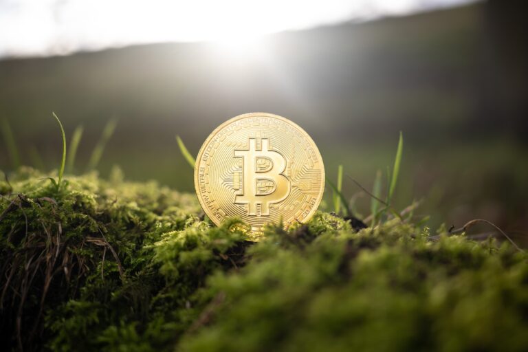 O Bitcoin como exemplo de sustentabilidade